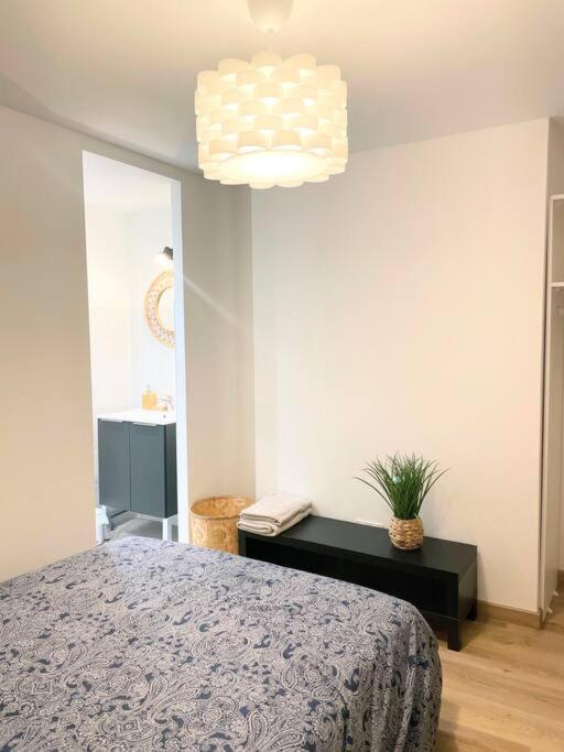 / Cocon \ Paisible Hyper Centre Rodez Apartment ภายนอก รูปภาพ